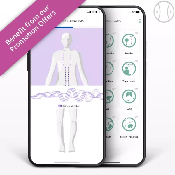 HealAdvisor Analyse Meridian Module